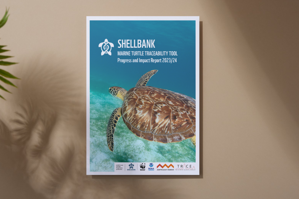 ShellBank Impact Report 2023/2024